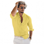 Men's Solid Regular Fit Shirt